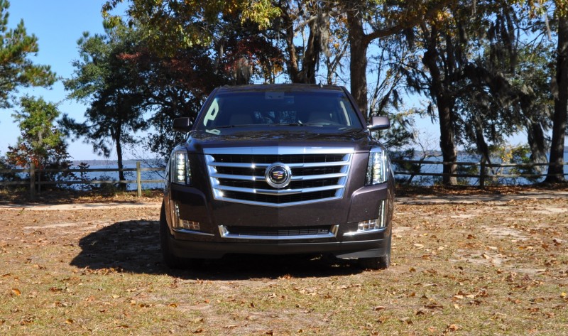 2015 Cadillac Escalade Luxury AWD 17