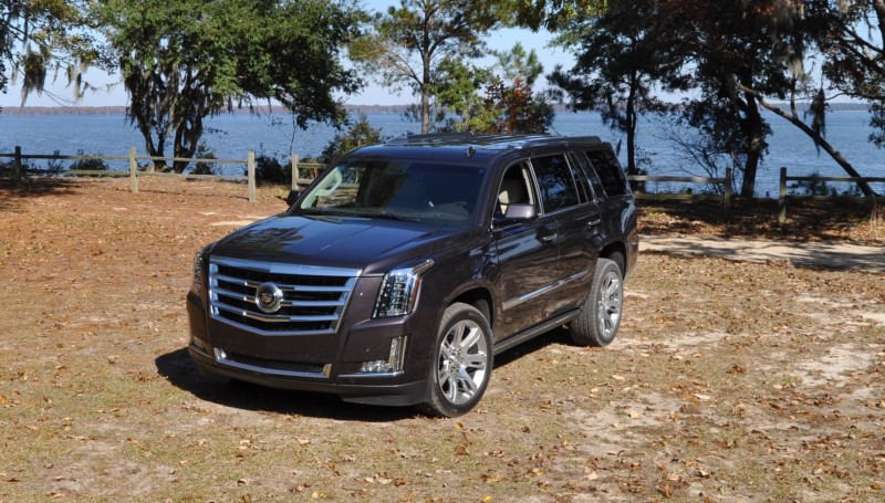 2015 Cadillac Escalade Luxury AWD 18