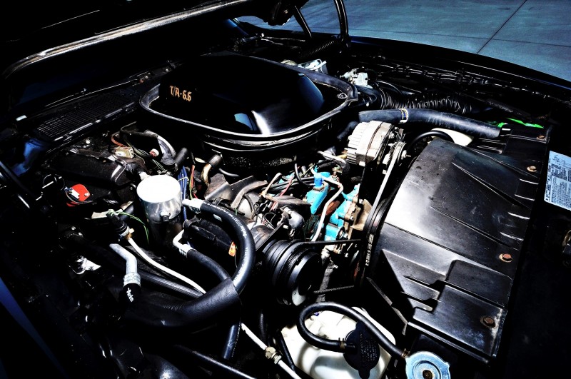 Mecum Kissimmee 2015 Preview - 1978 Pontiac Trans Am 7