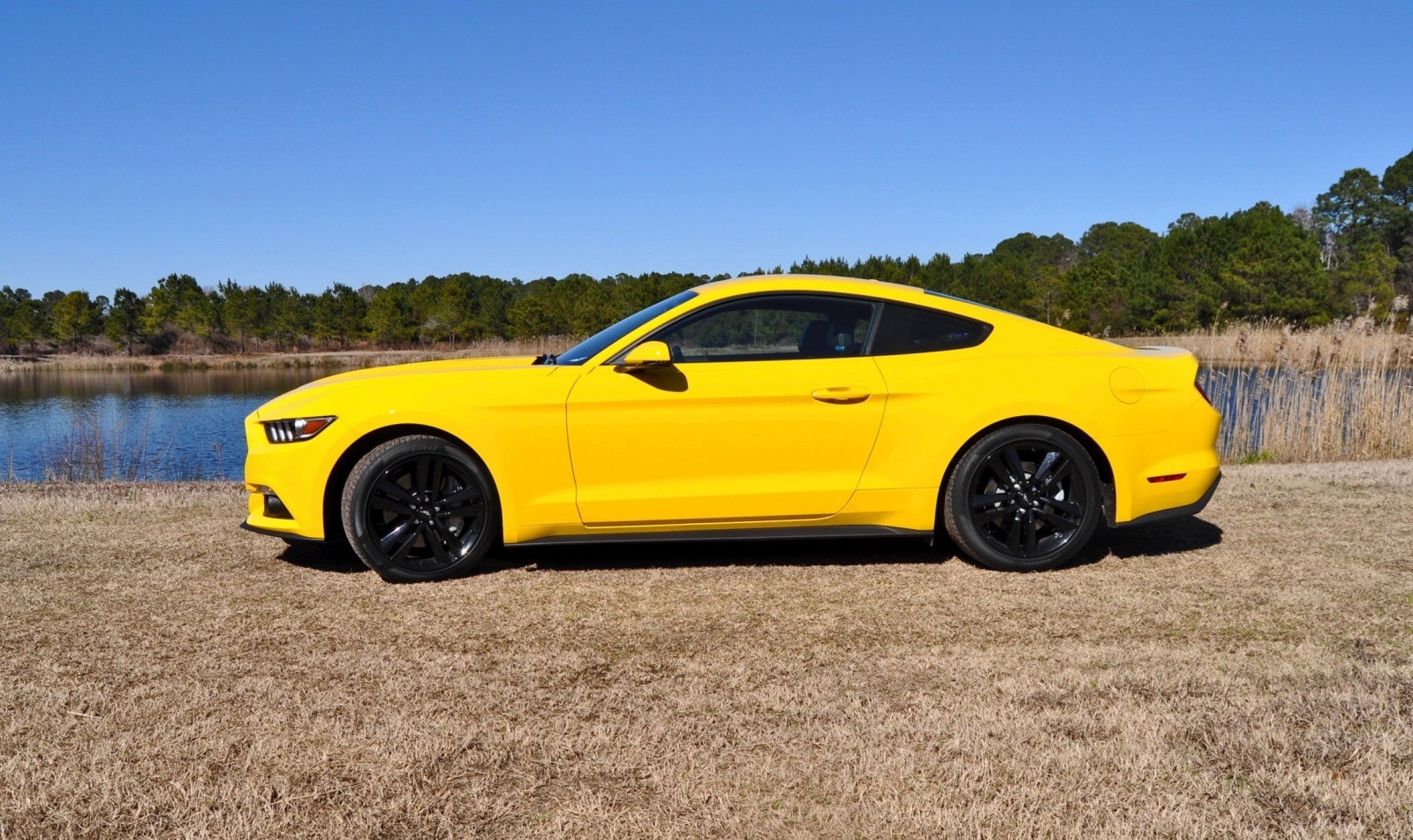 2015 Ford Mustang EcoBoost