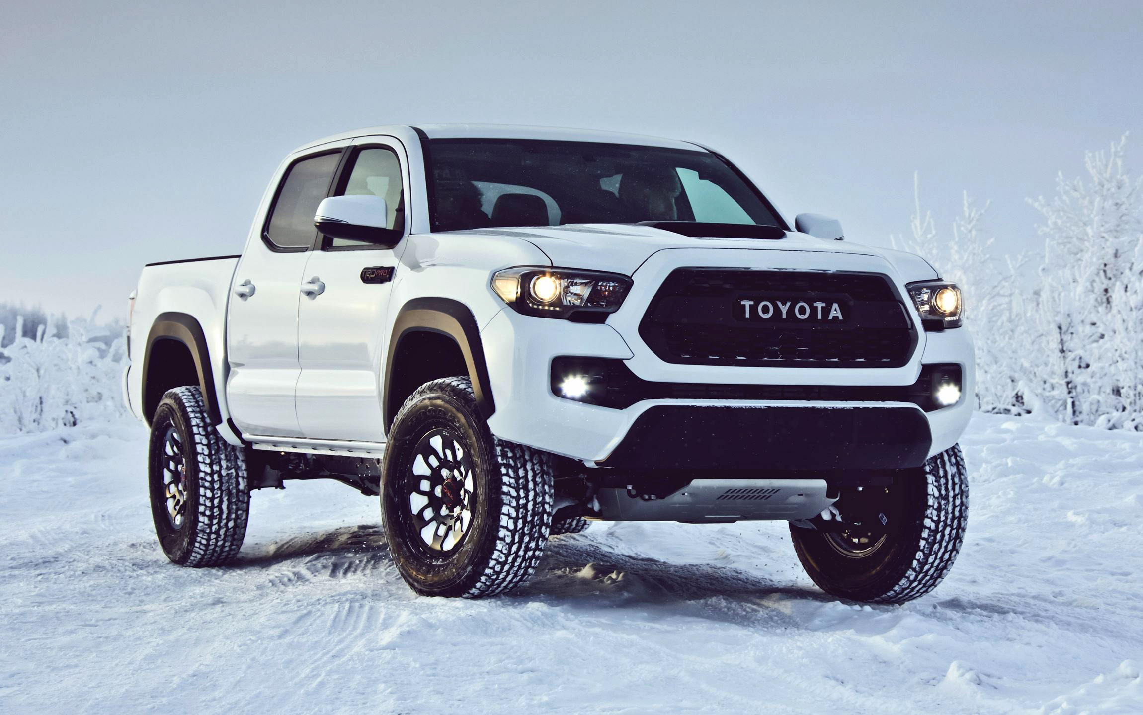 2017 Toyota Tacoma TRD Pro - Kevlar-Reinforced Tires, Rigid Industries