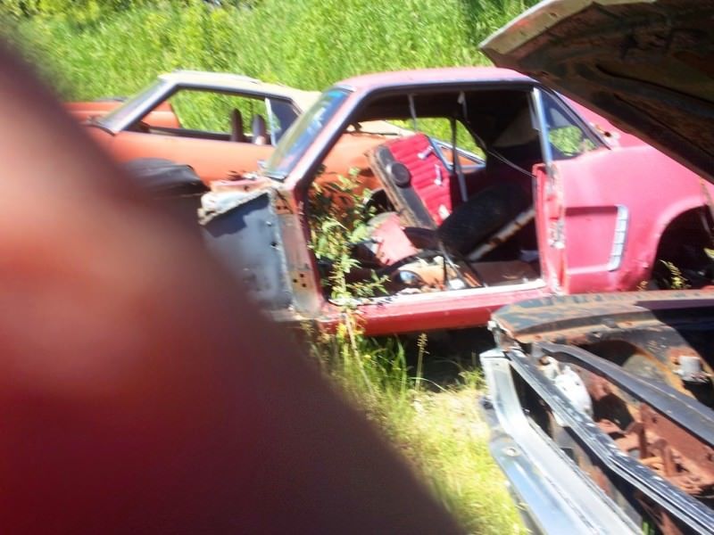 Junkyard Jems - Americana - 1961 Thunderbird, New Yorker, Mustangs and Rusty Tractors 21