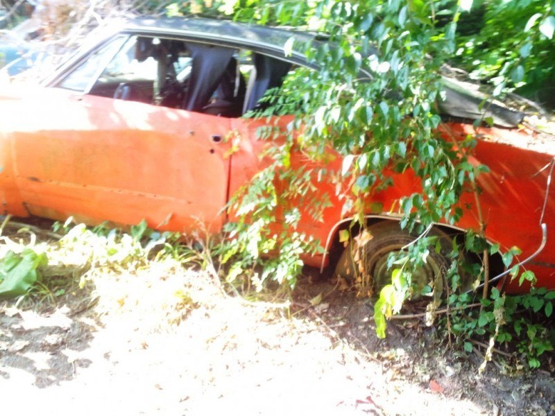Junkyard Jems - Americana - 1961 Thunderbird, New Yorker, Mustangs and Rusty Tractors 38