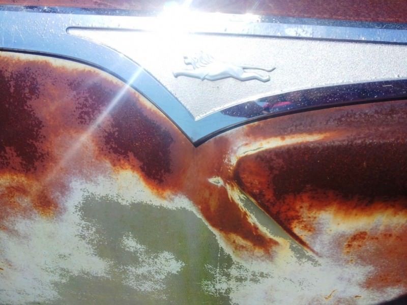 Junkyard Jems - Americana - 1961 Thunderbird, New Yorker, Mustangs and Rusty Tractors 50