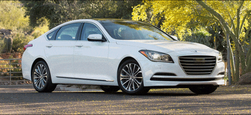 Genesis Header GIF white