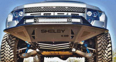 shleby raptor