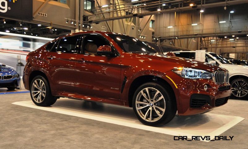 2015 BMW X6 xDrive50i 17