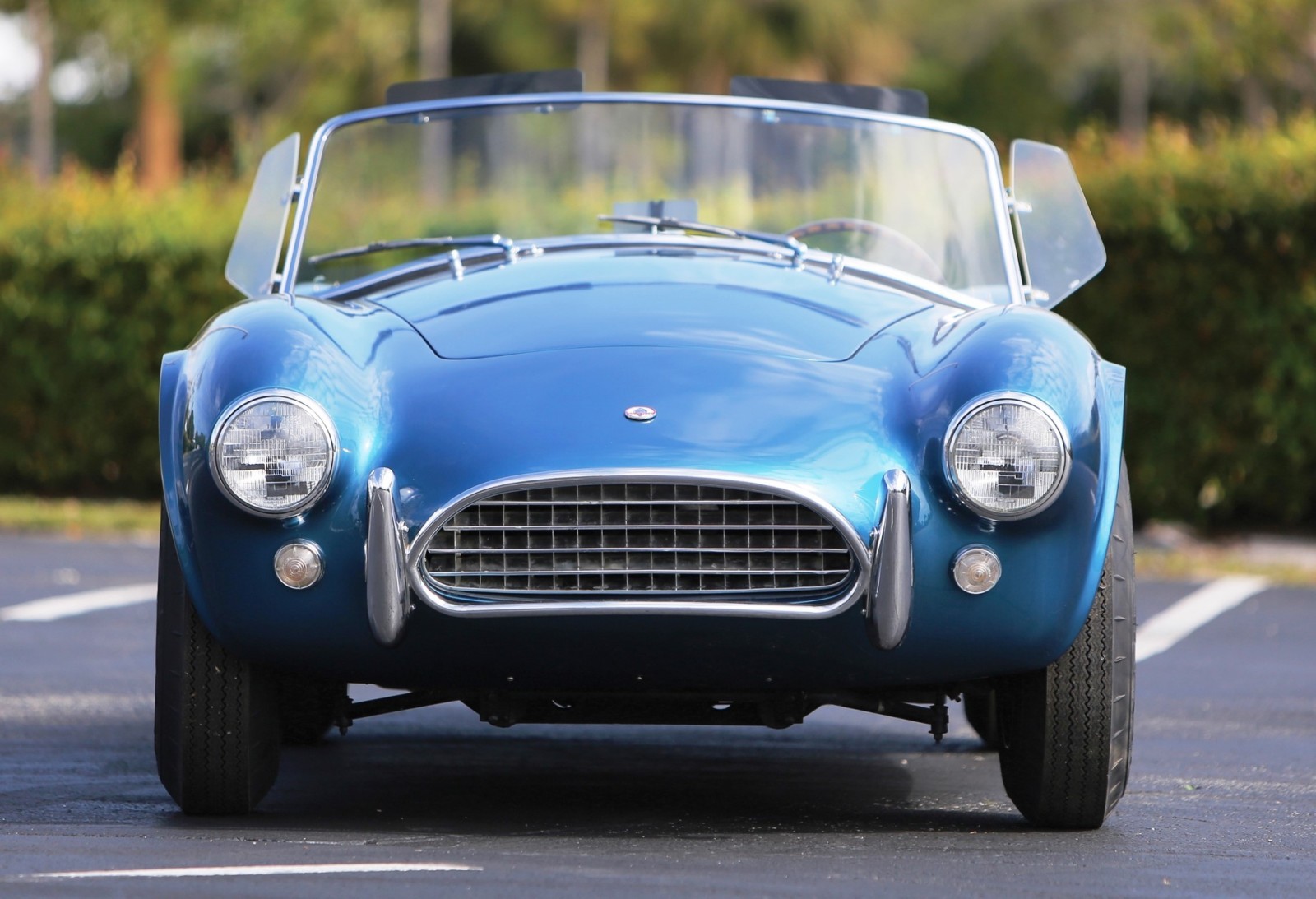 Shelby Cobra 289 1963 Roadster