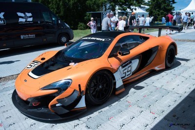 Goodwood 2015 Racecars 187