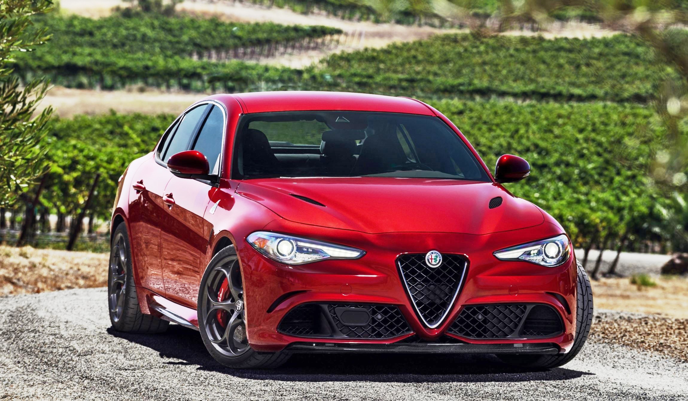 2016 Alfa Romeo GIULIA Quadrifoglio 23