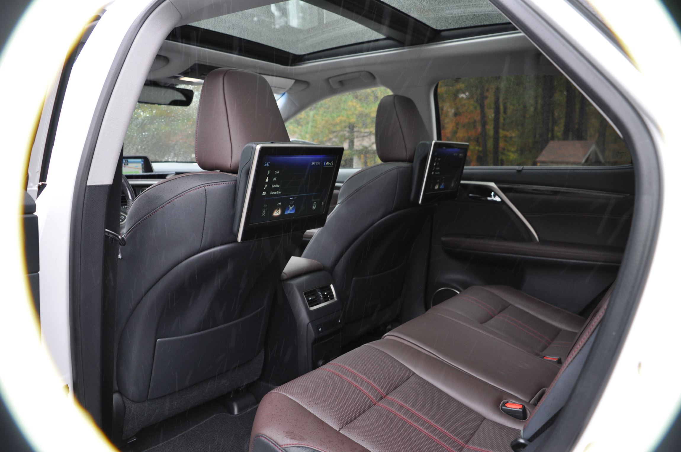 2016 Lexus Rx350 Interior Noble Brown Sapele Wood 7