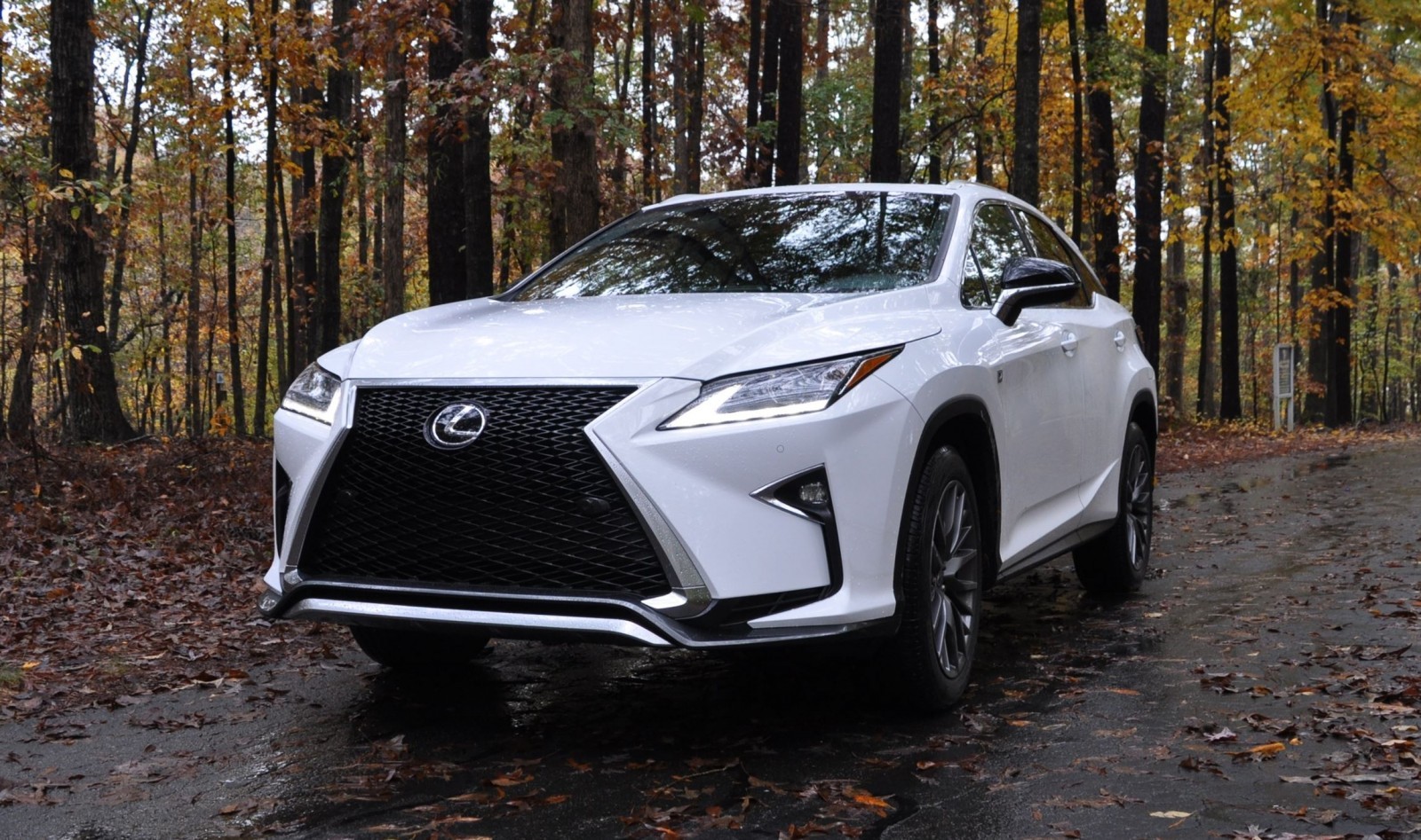 Белый lexus