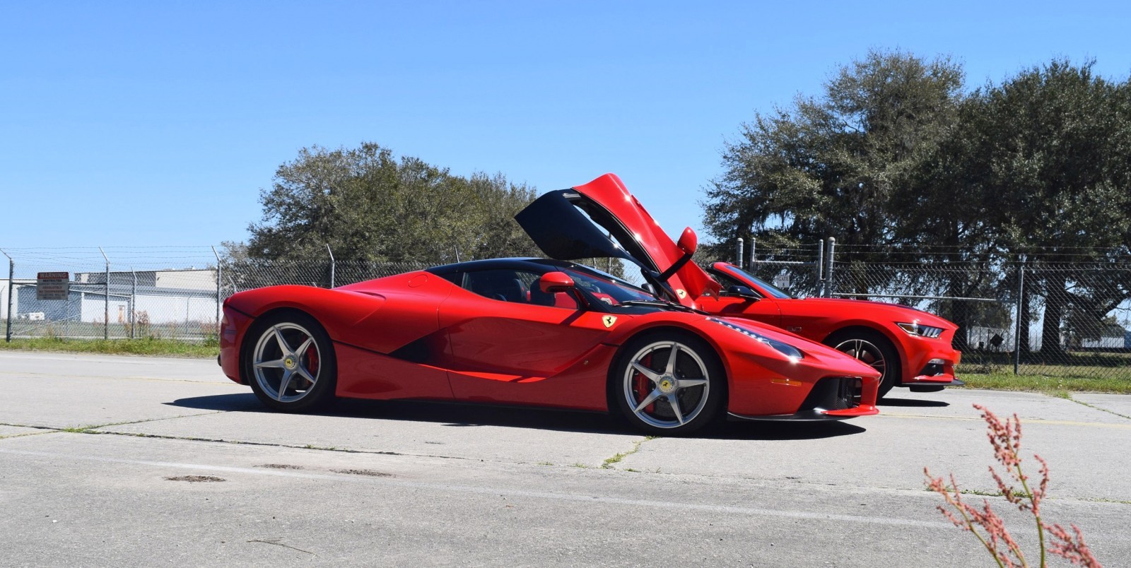 Speed Fleet! 2016 Ford Mustang GT Cali Special + LaFERRARI 26