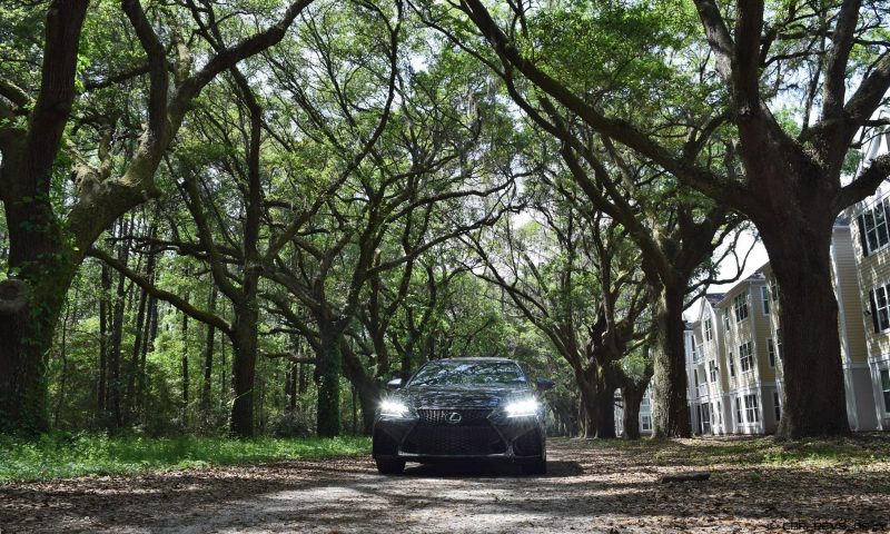 2016 Lexus GSF - South Carolina Angel Oaks 3