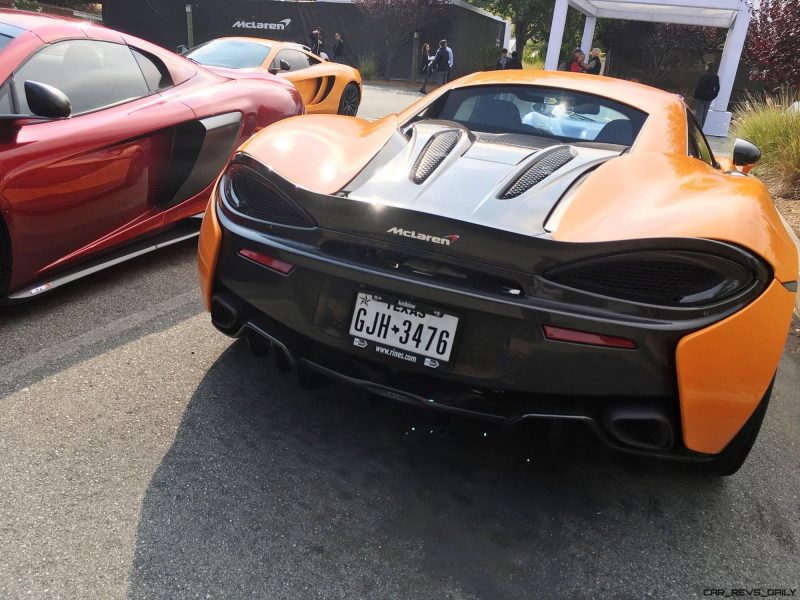 MCLAREN MADNESS - 2017 Pebble Beach VIP Villa 46