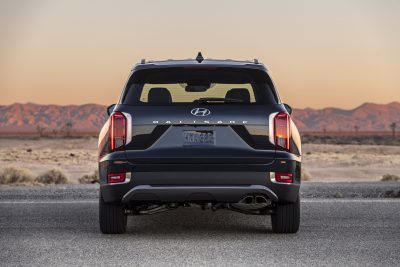Large-34857-2020Palisade