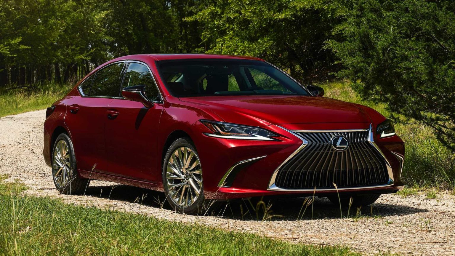 2021lexuses250awdluxury (1)