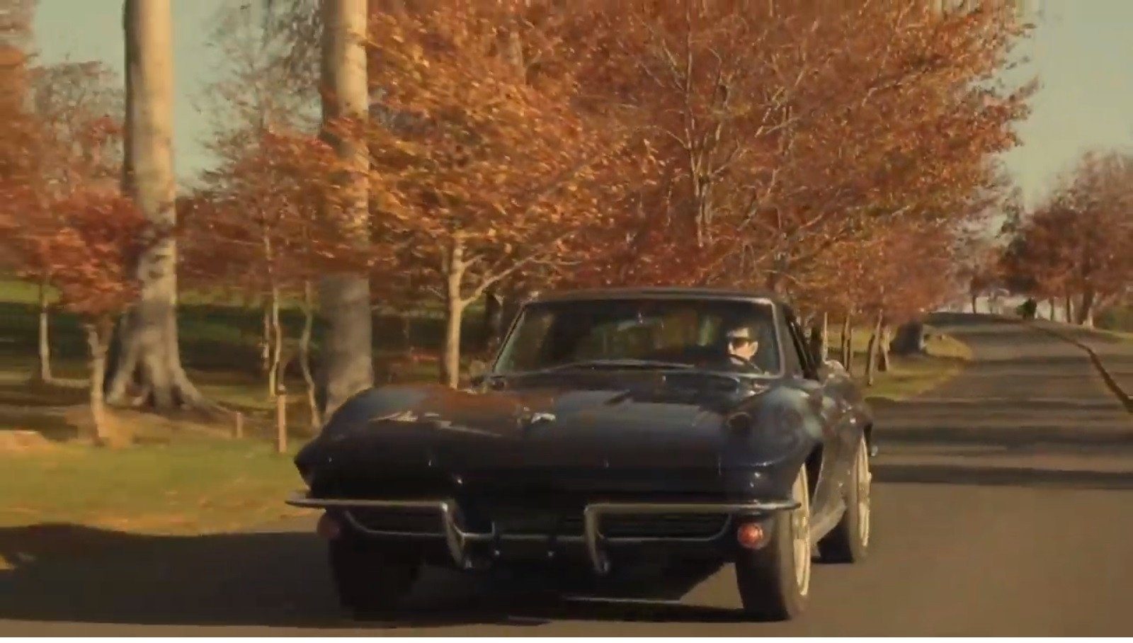 AVA Stingray