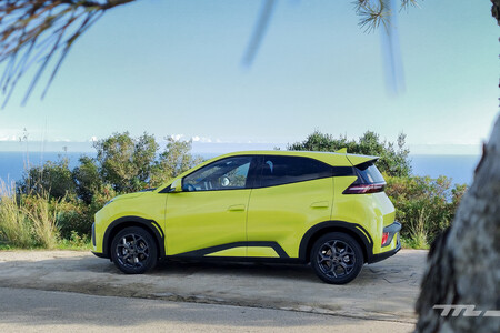 Byd Dolphin Surf
