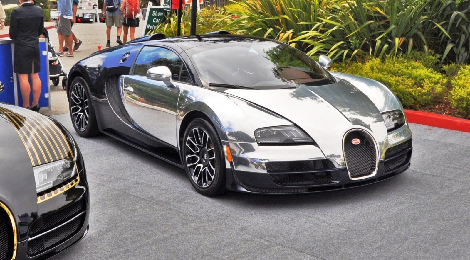 EXCLUSIVE! 2014 Bugatti Veyron Legend ETTORE BUGATTI in 45 Stunning Photos