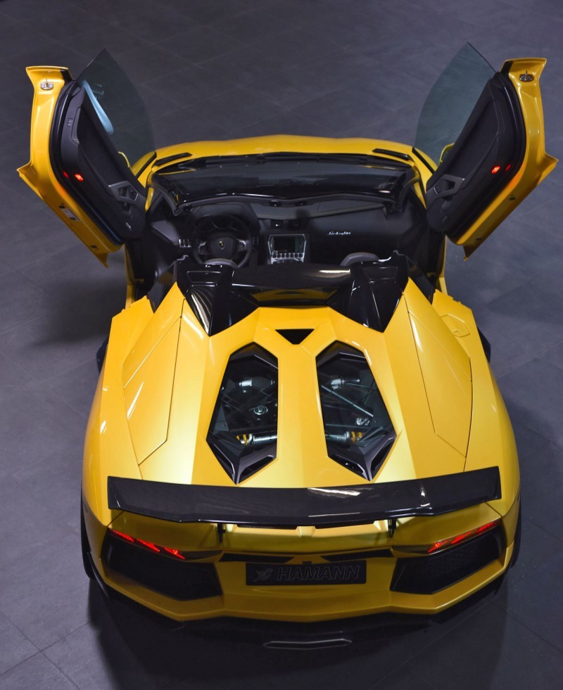 HAMANN Lamborghini Aventador Roadster 6