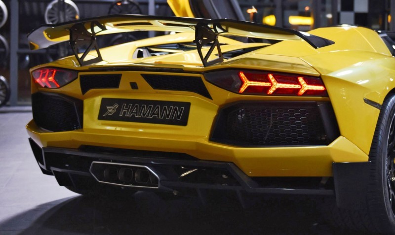 HAMANN Lamborghini Aventador Roadster 9