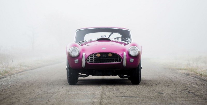 RM Arizona 2016 - 1963 Shelby 289 Cobra DRAGONSNAKE  14